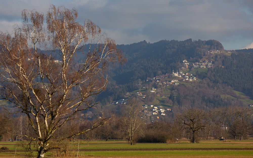 Lauteracherried im Jänner 51